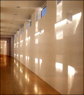 Ornstein - Schatz Image